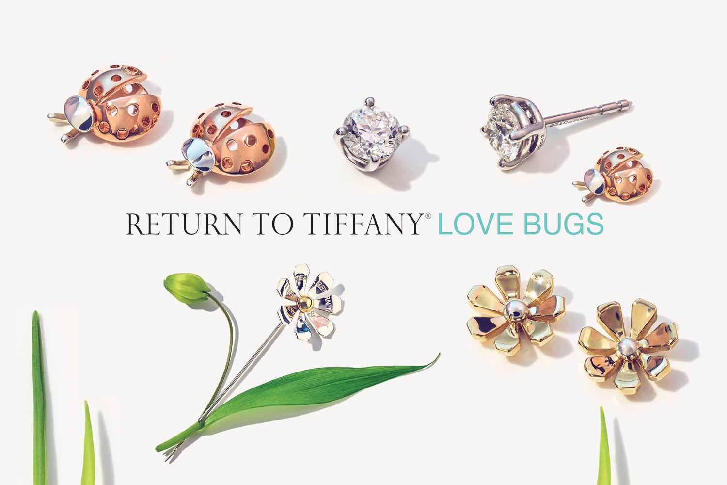 Return to Tiffany Love Bugs 2019 (13)
